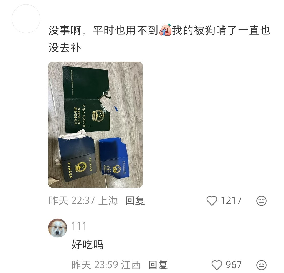 丫鬟证也是醉了
