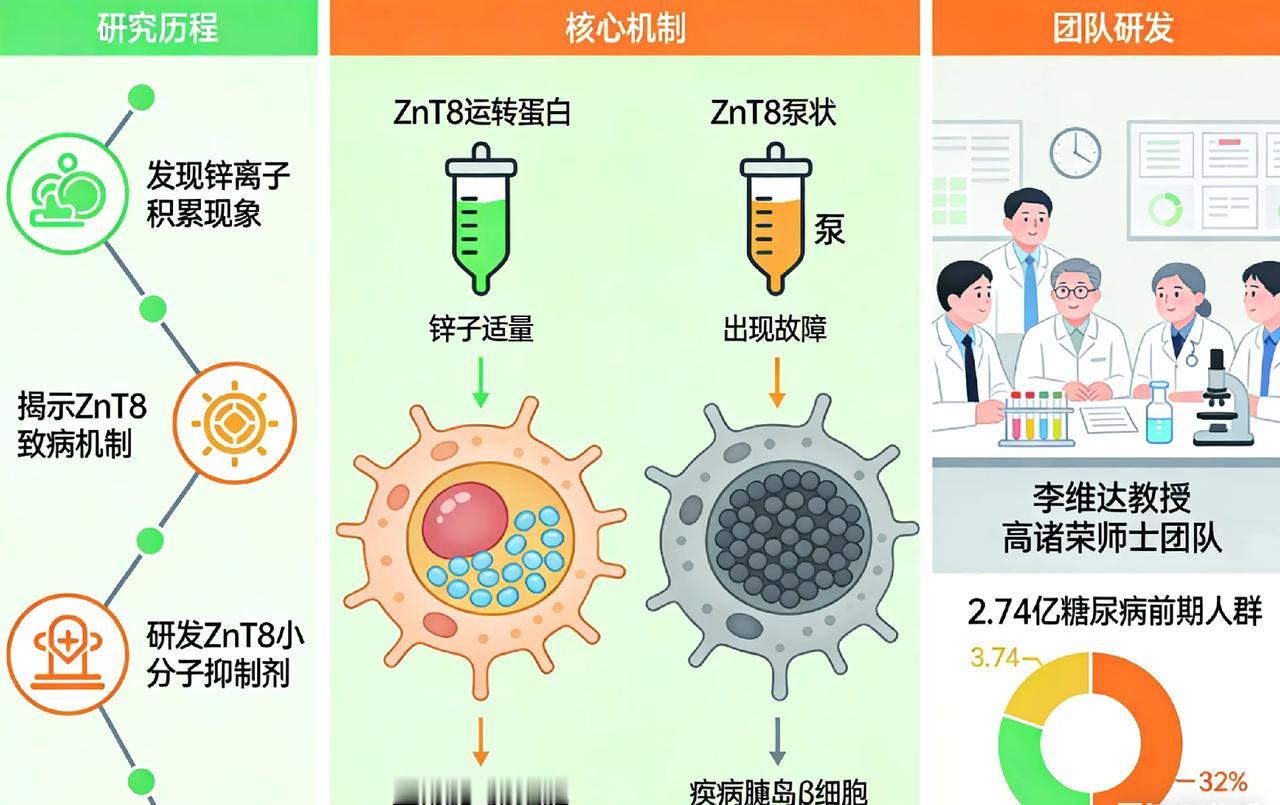 我国科学家发现糖尿病防治“黄金靶点”，或为上亿患者带来新希望💡今天刷到一