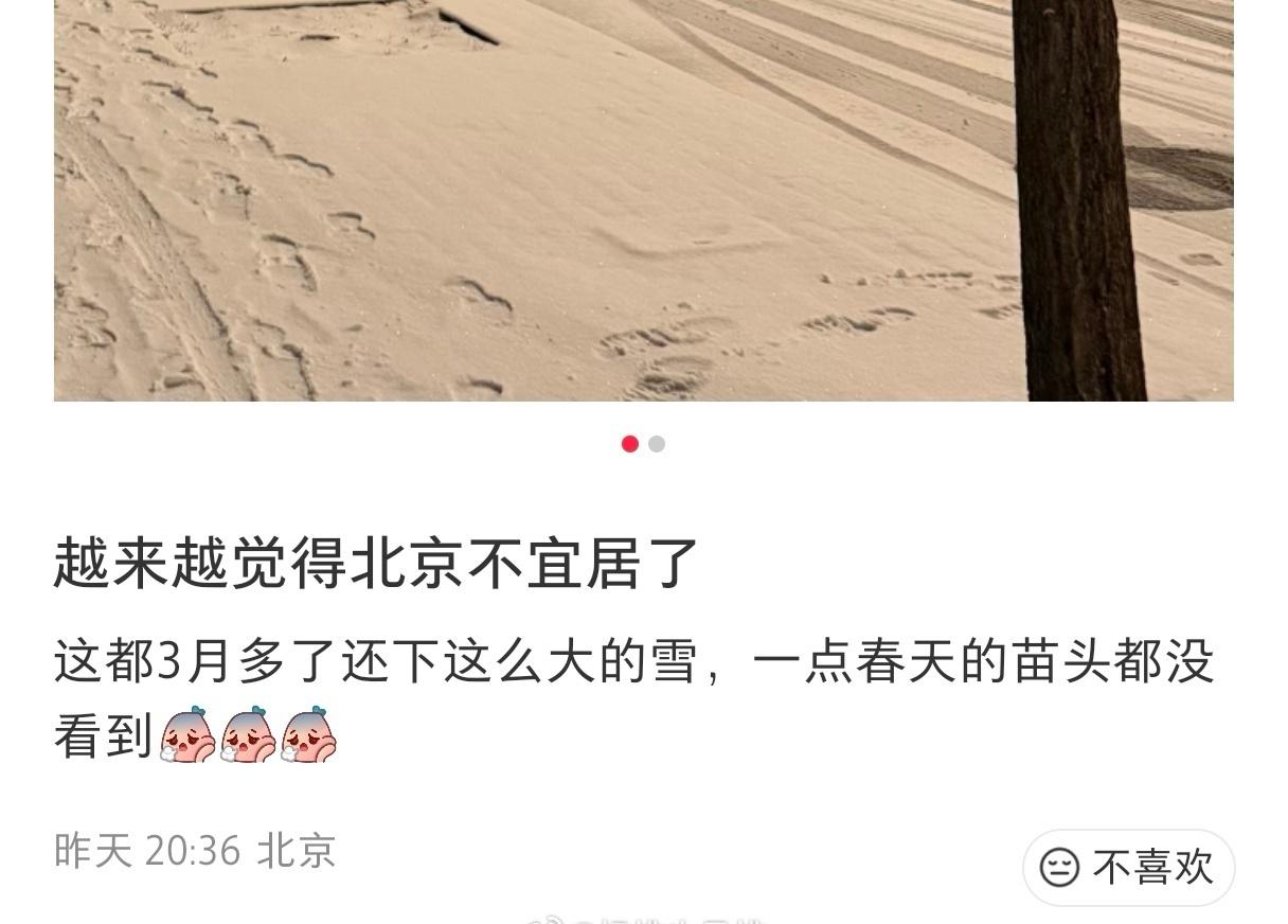 这才3月初啊！北京是北方，这才是正常的气候，三月的北京不是南方的三月！再早三十