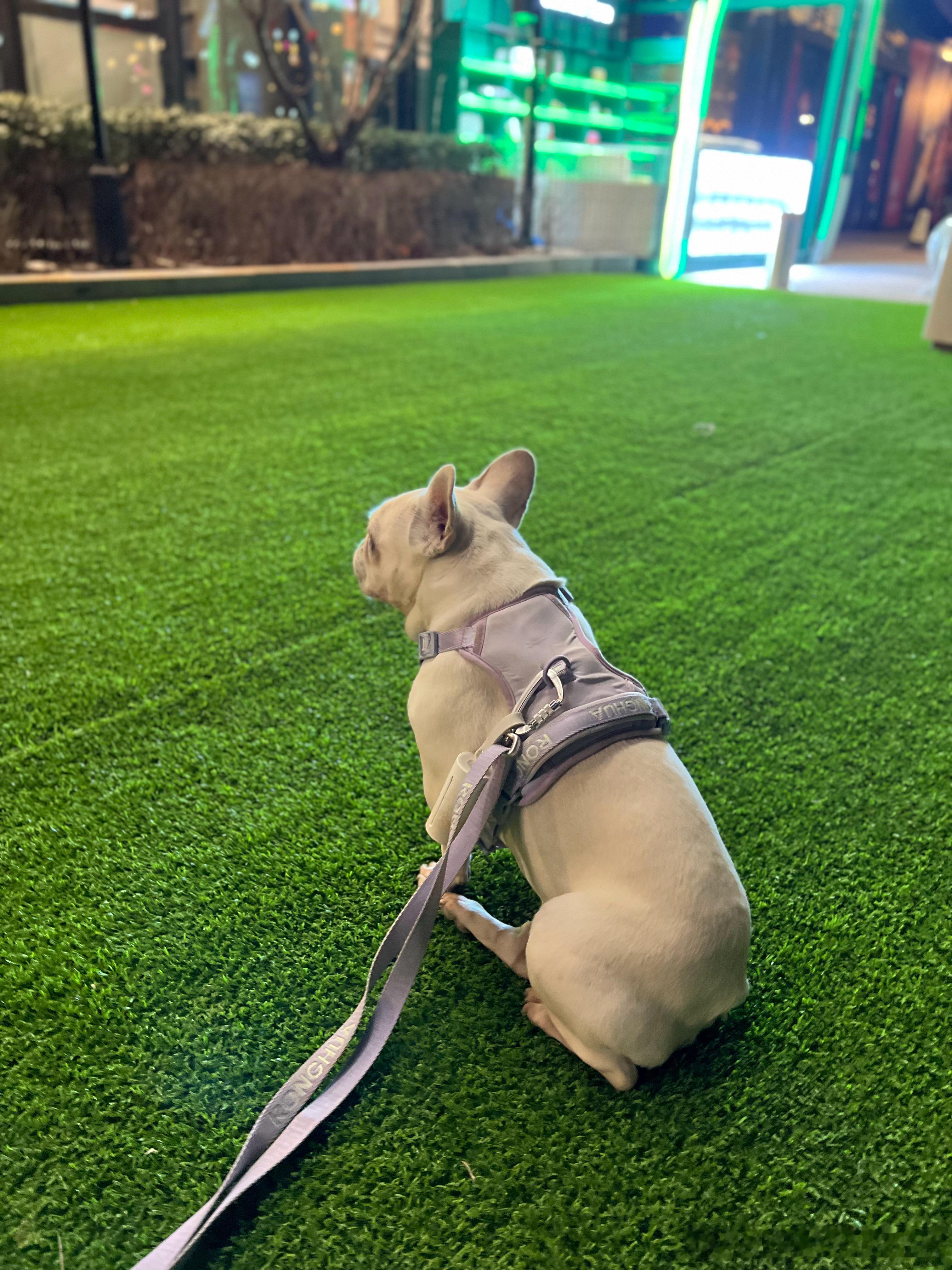 过年了，一定要看看家里老人的手机软件和浏览器。看过后你就会发现，这个世界上现存着