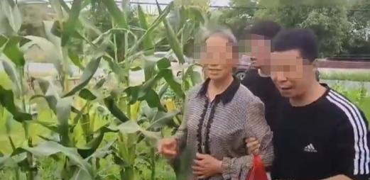 “还要脸吗？”老太太带孙子在男子地里，偷掰两个玉米，结果吃后双双农药中毒。老太家
