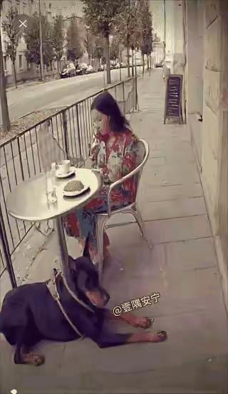 所有人都以为是狗狗捣乱,直到那辆车冲了过来…女子在路边悠哉喝咖啡狗狗安安