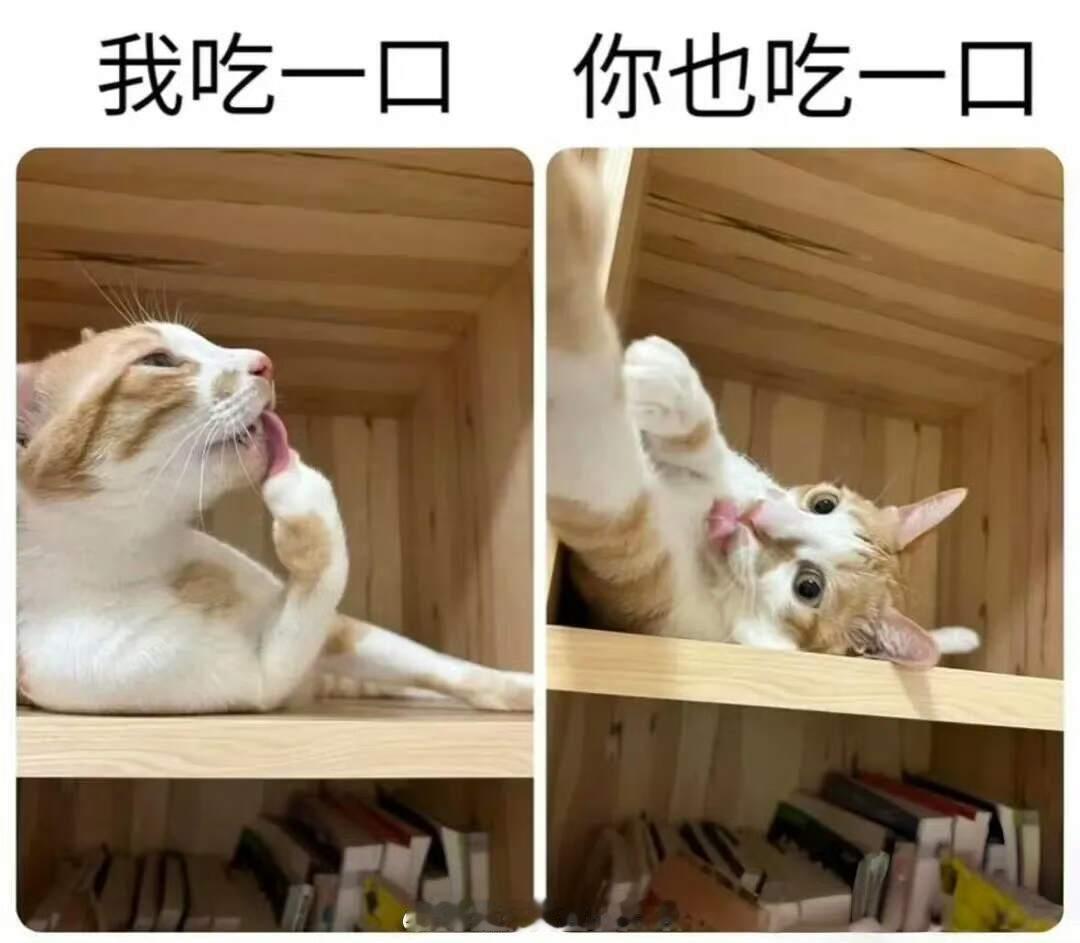 网友投稿图片选集​​​