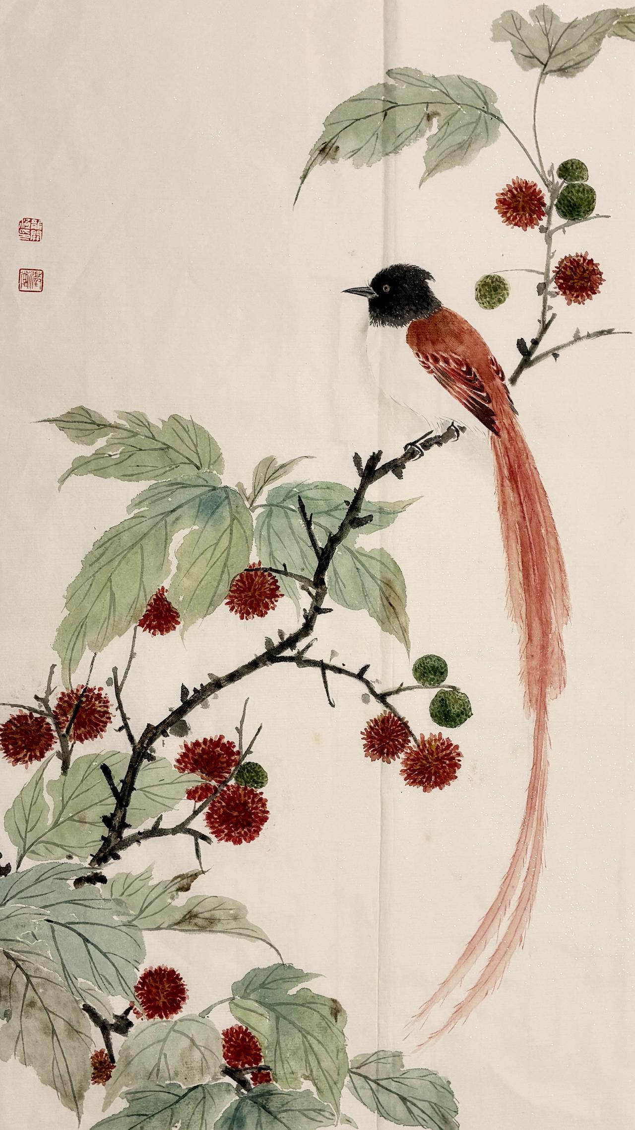 国画小鸟没骨画国画也抖音