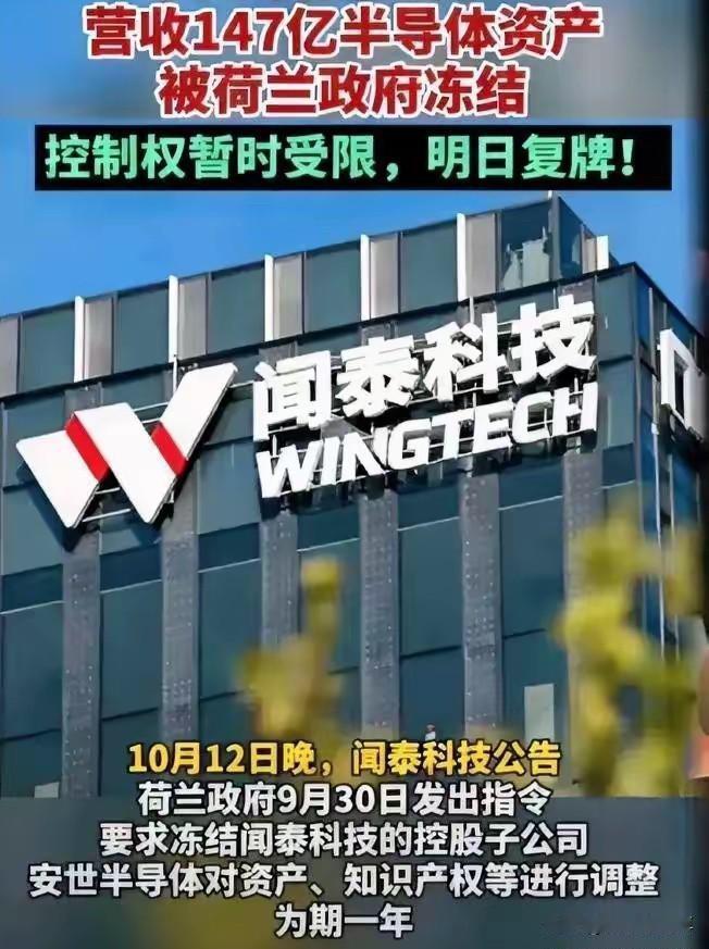 我有时候真得谢谢荷兰。真的，发自肺腑。他们终于用最不体面的方式，亲手把那层叫