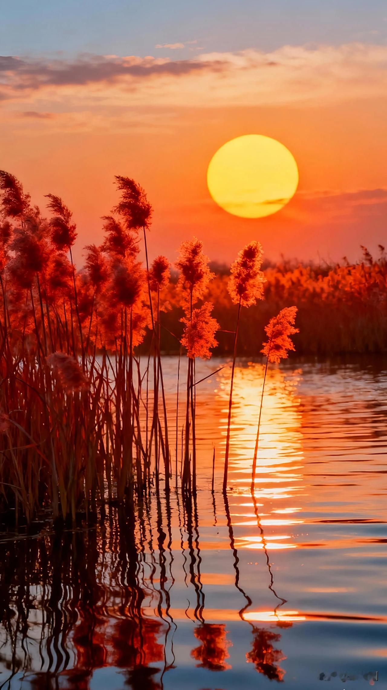 《暮色收藏家》是谁打翻了琥珀色的酒坛将云朵浸染得微醺流云蘸着余晖