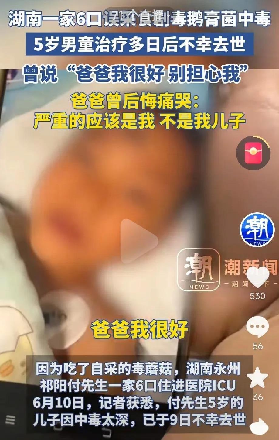 这么懂事的孩子，怎么说没就没了呢？湖南的付先生到现在还在后悔，为什么要去捡毒蘑菇