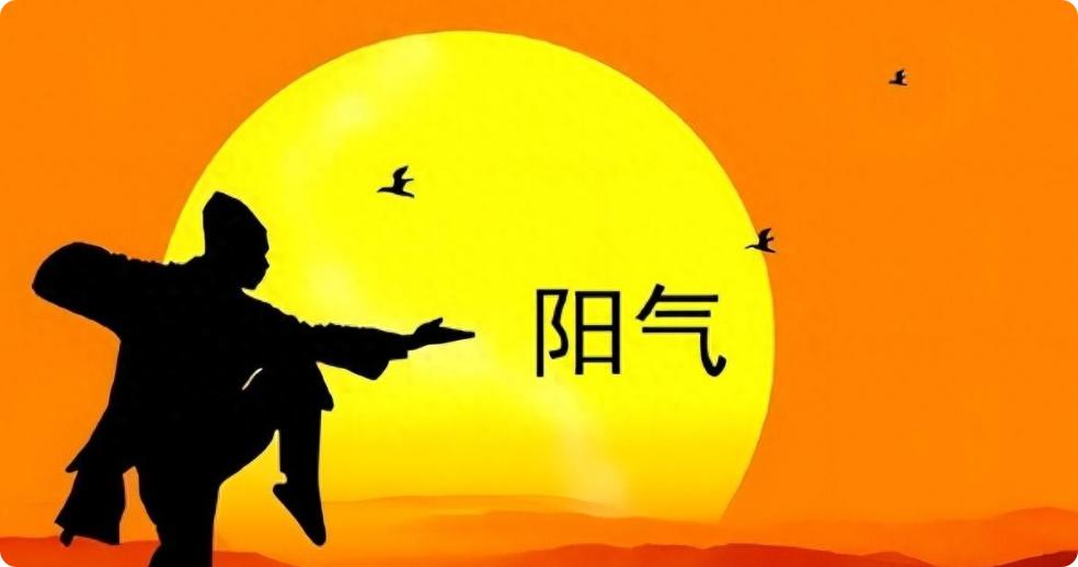 中医：哪有什么虚不受补，不过是湿困脾阳！一招破解大家好，我是陈大夫。很多人跟