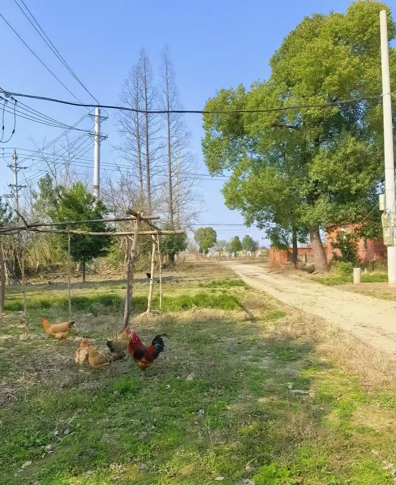 转运的秘密：走出去，让山水为你换个好风水人生总有疲惫无力时，不妨试试“走出去