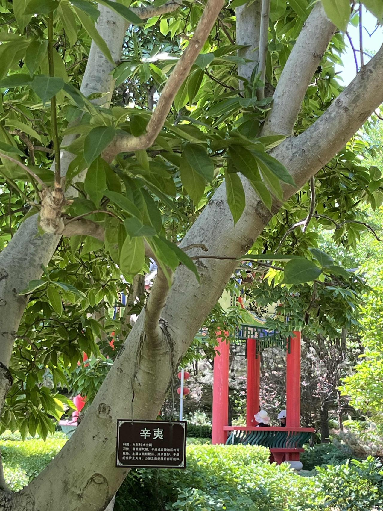 当前北京二手房市场看不懂，真的是看不懂吗？三月份以来，北京二手房市场红红火火