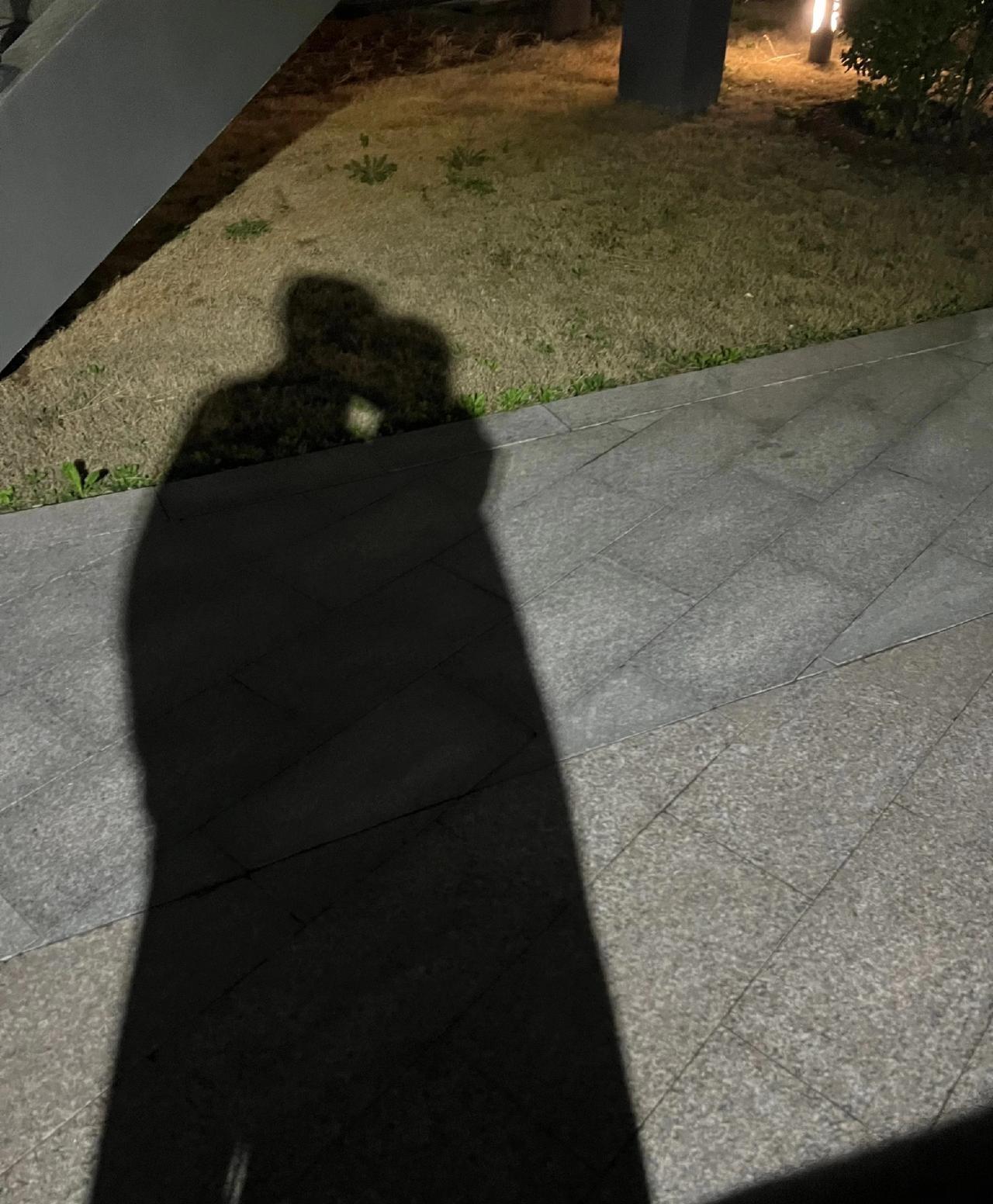 技术部的小程同学是00年的，之前经人介绍，交了一位女朋友。交往好几个月，昨天