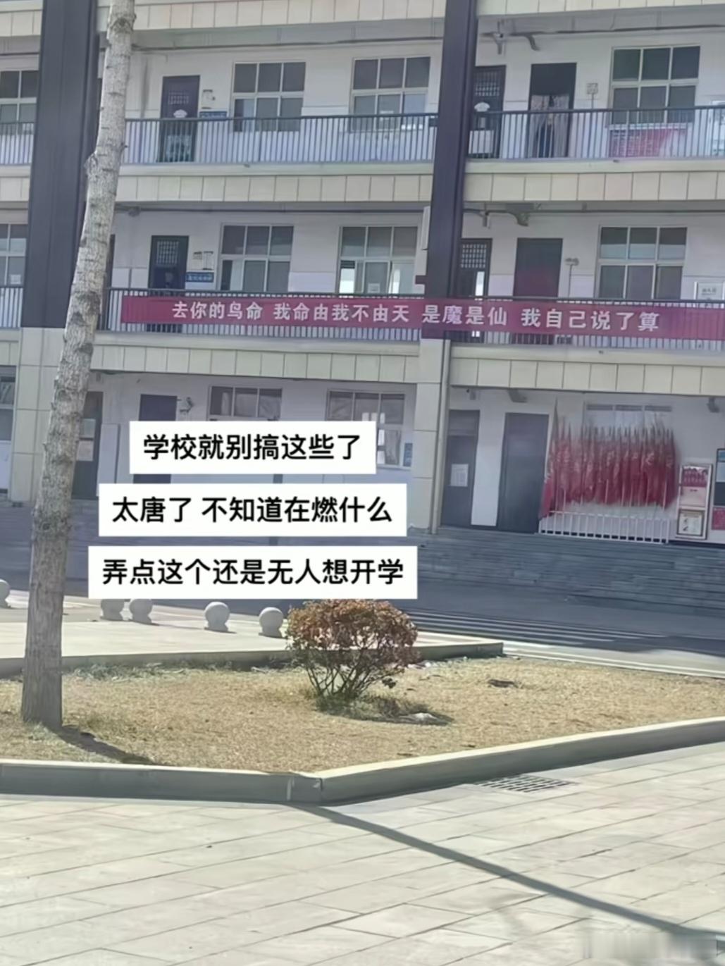 这个学校在干什么？？？