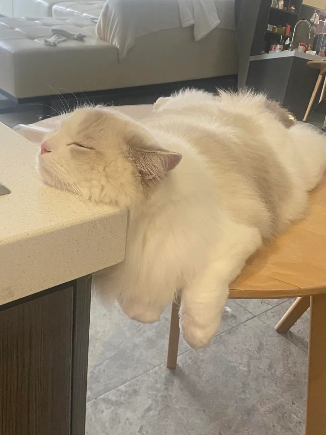 好可爱！！孩子这样不会落枕吗哈哈