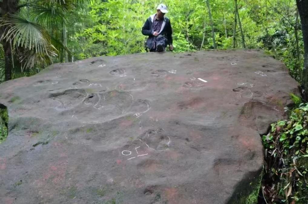 你敢信吗？四川一个10岁娃在河床边捡到的"石花"，竟是恐龙留下的1亿年秘密！2