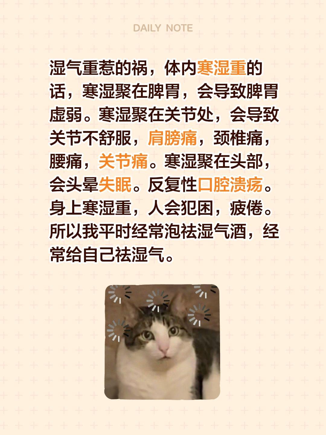 体内一堆毛病，其实全是湿气闹的！寒湿积在脾胃，脾胃就虚，消化差还容易胀气便秘；