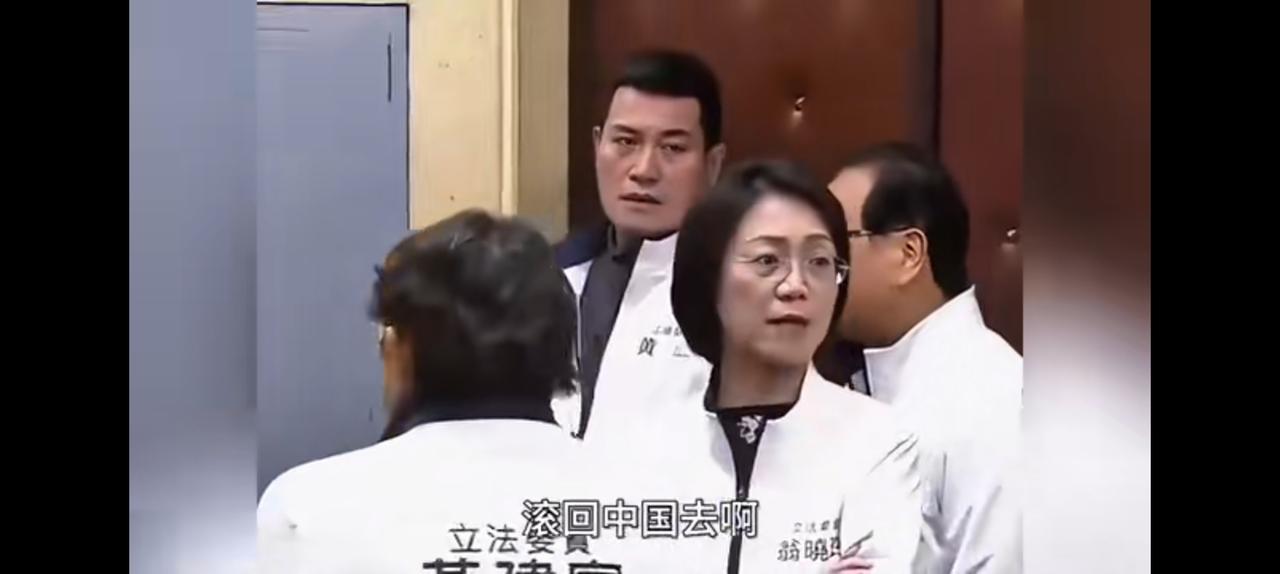 台独分子让议员翁小玲滚回中国，丑恶嘴脸天人共愤。对待青鸟，我们真的恨不得一个