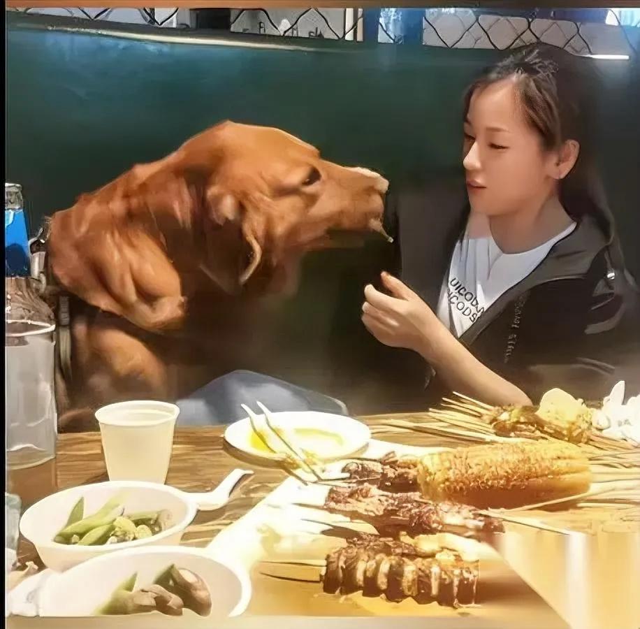 又有饭店踩雷了看完我直接拉黑你敢信烤串铁签先给狗嗦？前几天刷到个视频