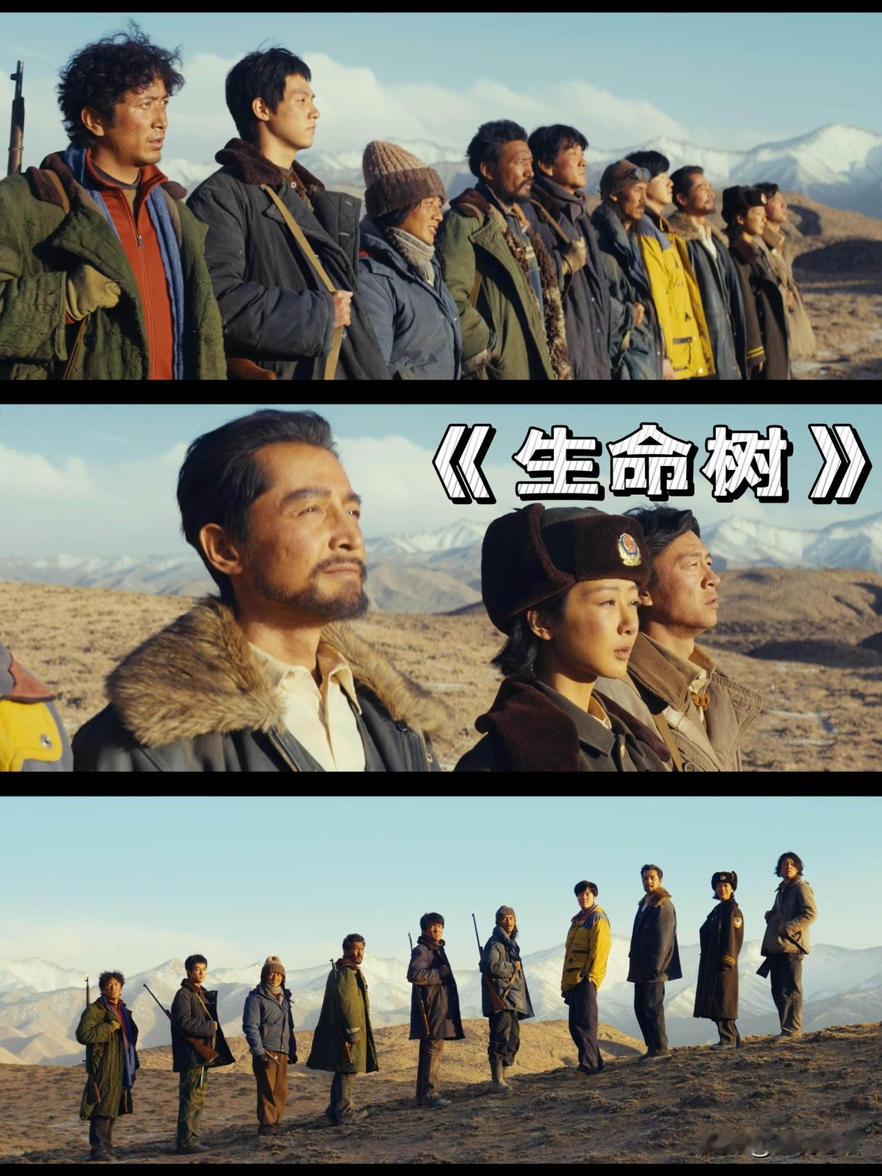 看完《生命树》，我整个人彻底走不出来了！这才是国产剧该有的良心天花板，没有狗血