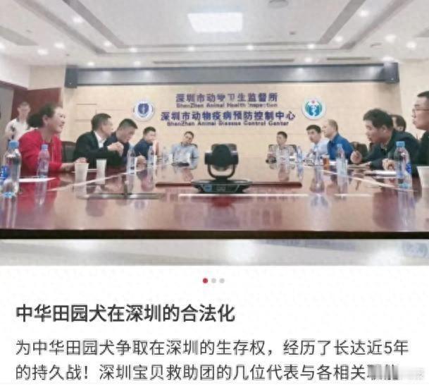 “泪点来了！中华田园犬终于能挺直腰杆进城了——广州深圳长沙集体解禁，老祖宗留下的