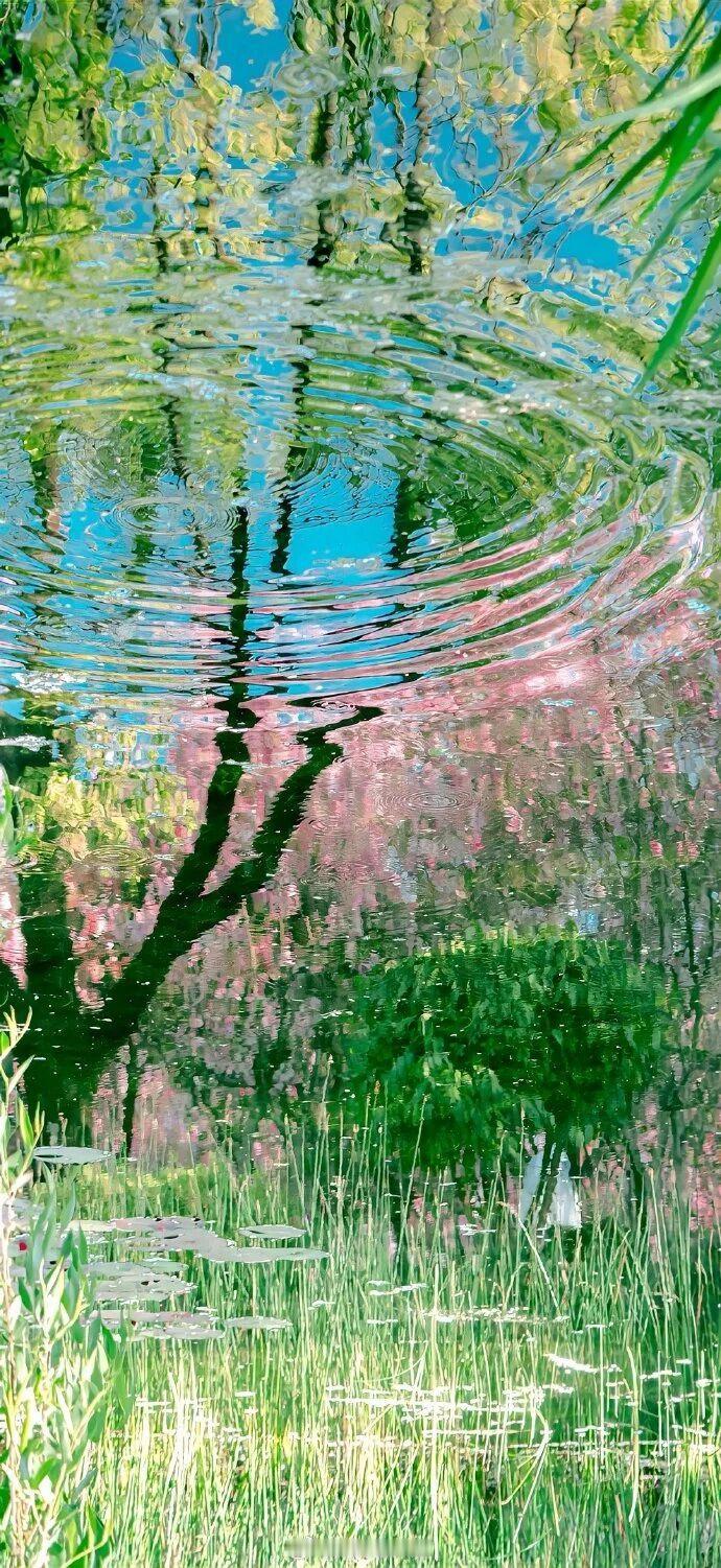 “你也属意于她吗？”“我爱重她。”——《坤宁》晚安