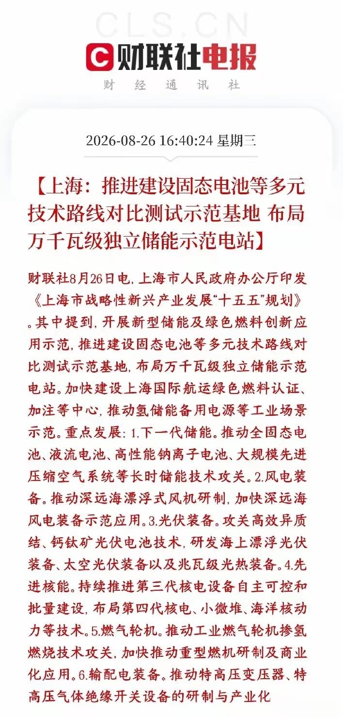 固态电池又迎来利好消息，这一次，上海，推进固态电池多元化技术路径的发展，甚至要布