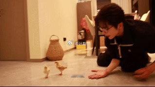 张新成触发萌神开关张新成养鸡还有续集从养鸡专业户到养鸡连续剧再到养鸡第二季，张
