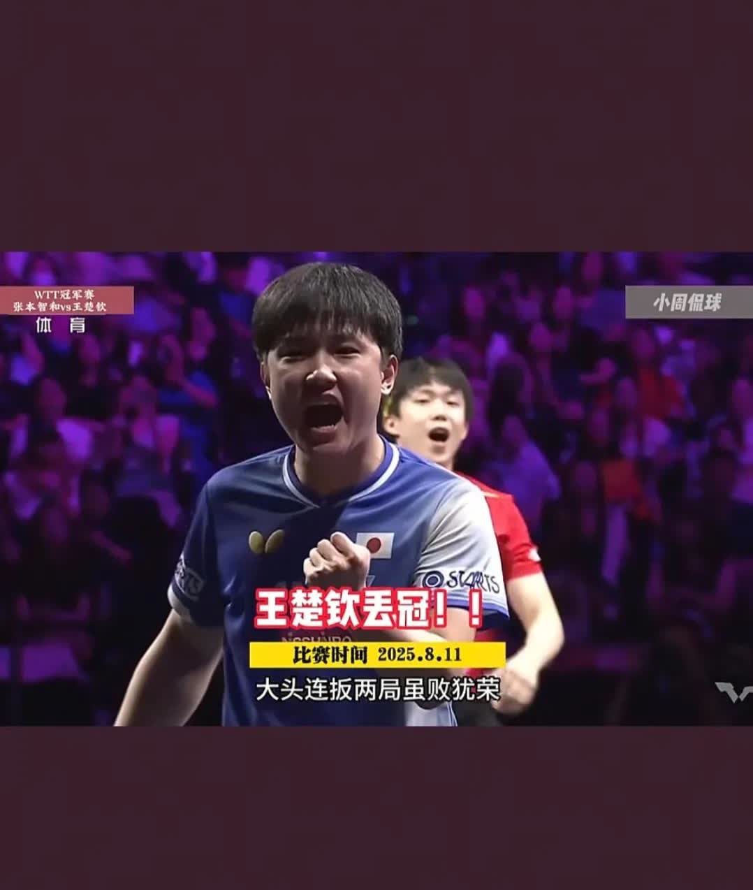 张本智和的父亲最终忍受不了网暴，开始在网上求饶了，恳求大家不要再网暴他们一家，放