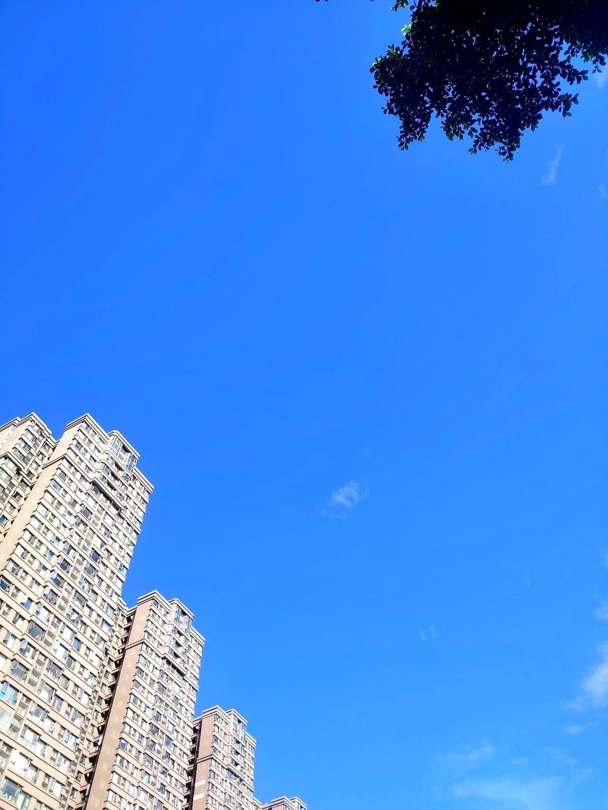 凌晨两点的深圳，一个月入大几万的科技公司高管，像摊烂泥一样死死砸在客厅沙发上。