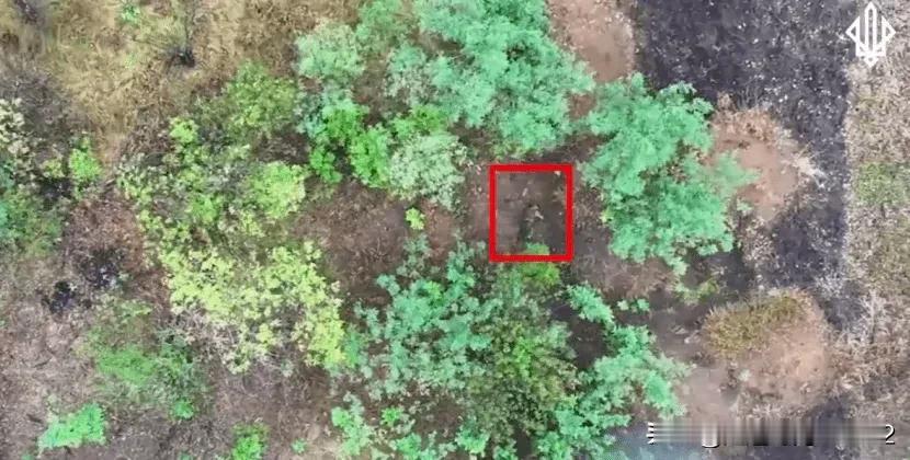 我们第一次看到：俄罗斯人开始将妇女投入战斗摘要：在波克罗夫斯基方向，乌克兰武