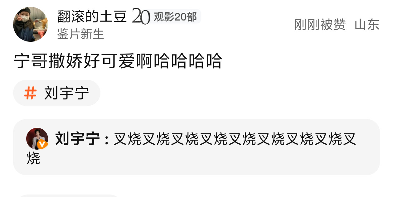雨凝叉烧~