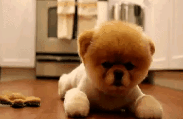 吕严向于谦控诉张兴朝的赛鱼吕严在于谦访谈节目里爆笑控诉张兴朝自创黑暗料理“赛鱼