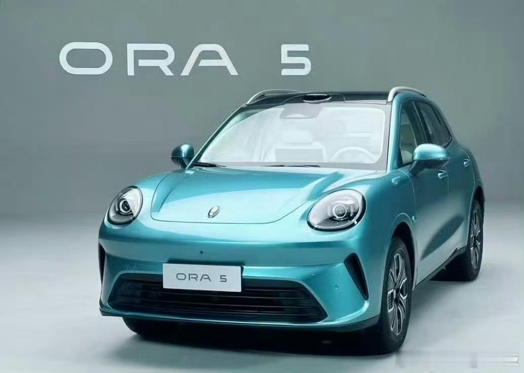 十万级别的精致小车天花板已经被拉高到欧拉5这种程度了吗。虽然只卖十万但是内饰竟然