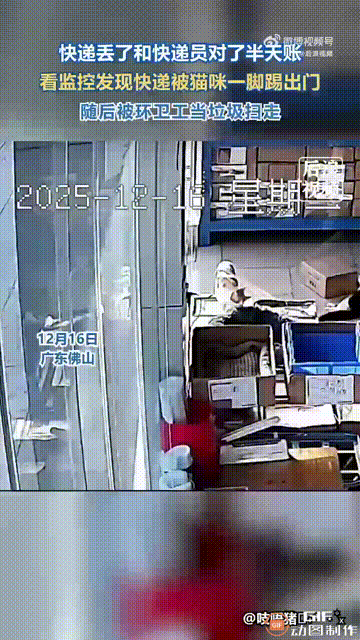 笑不活了！广东佛山一名女子签收了一个快递，是一份纸质文件，但她签收后就随手放在桌