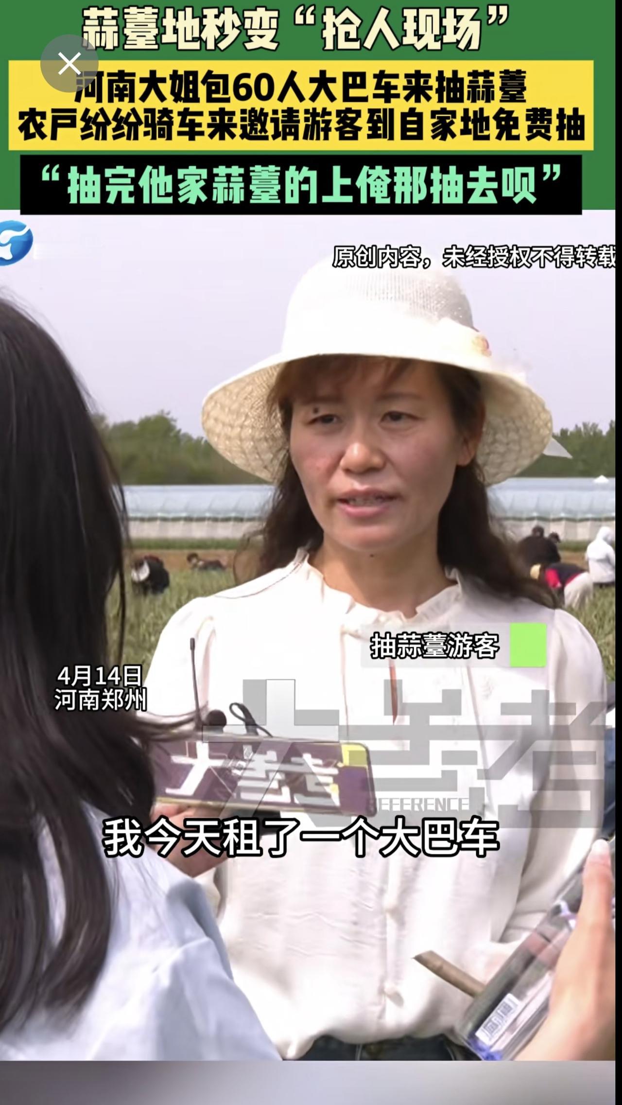4月14日河南郑州蒜薹地秒变“抢人现场”，河南大姐包60人大巴车来抽蒜薹，农户