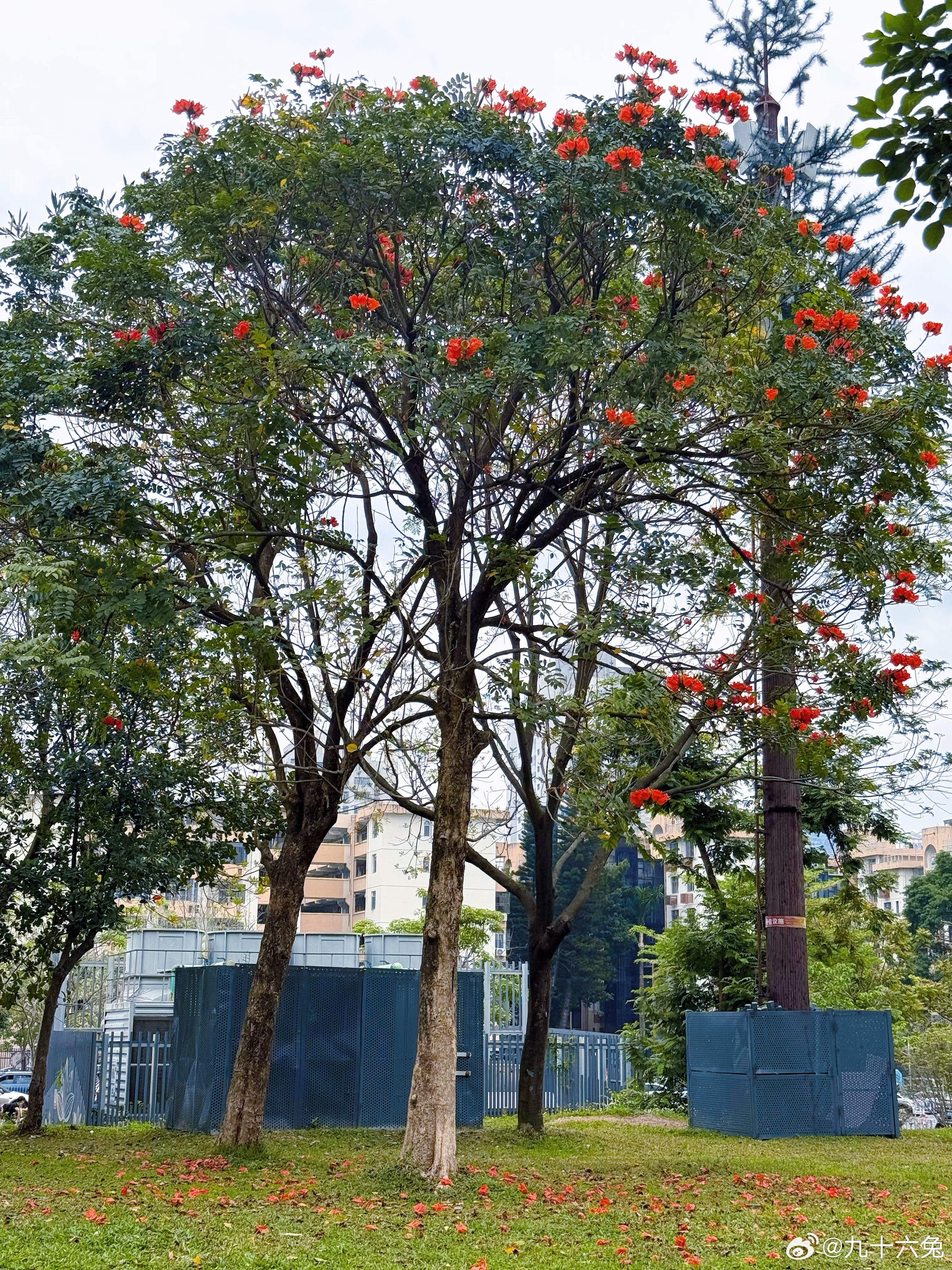 我认为我自己打游戏不算很厉害的结果遇到比我还屎的屎的离谱，从没遇到过这么菜的邀