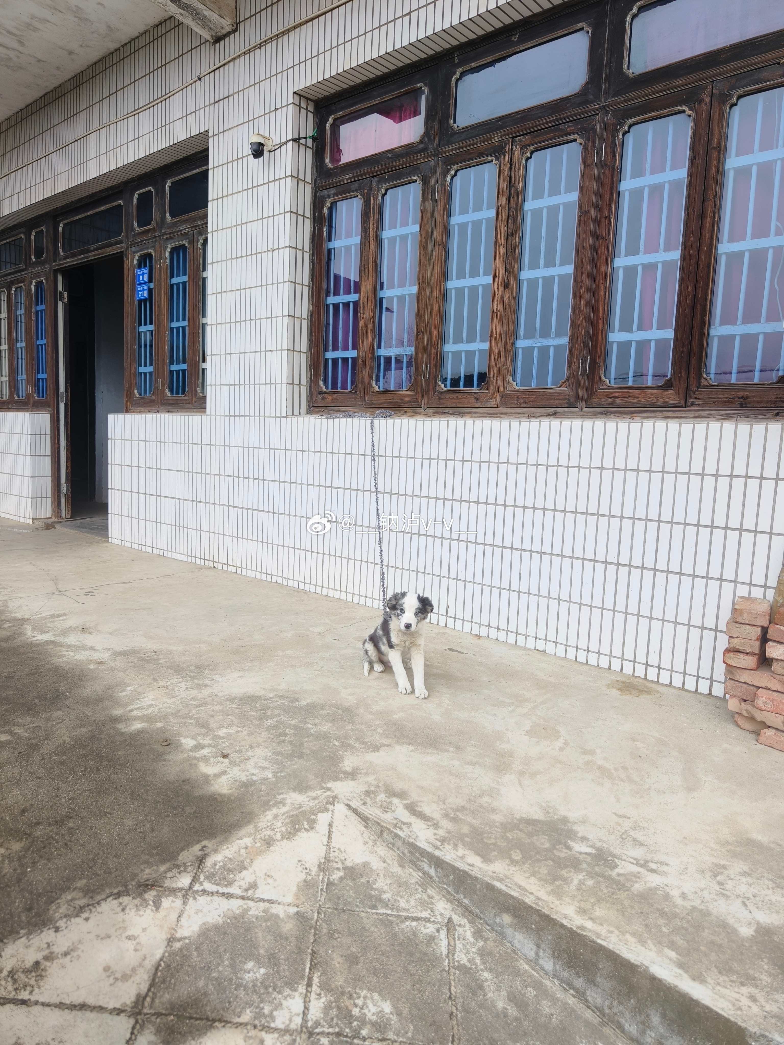 今天是村儿里人。