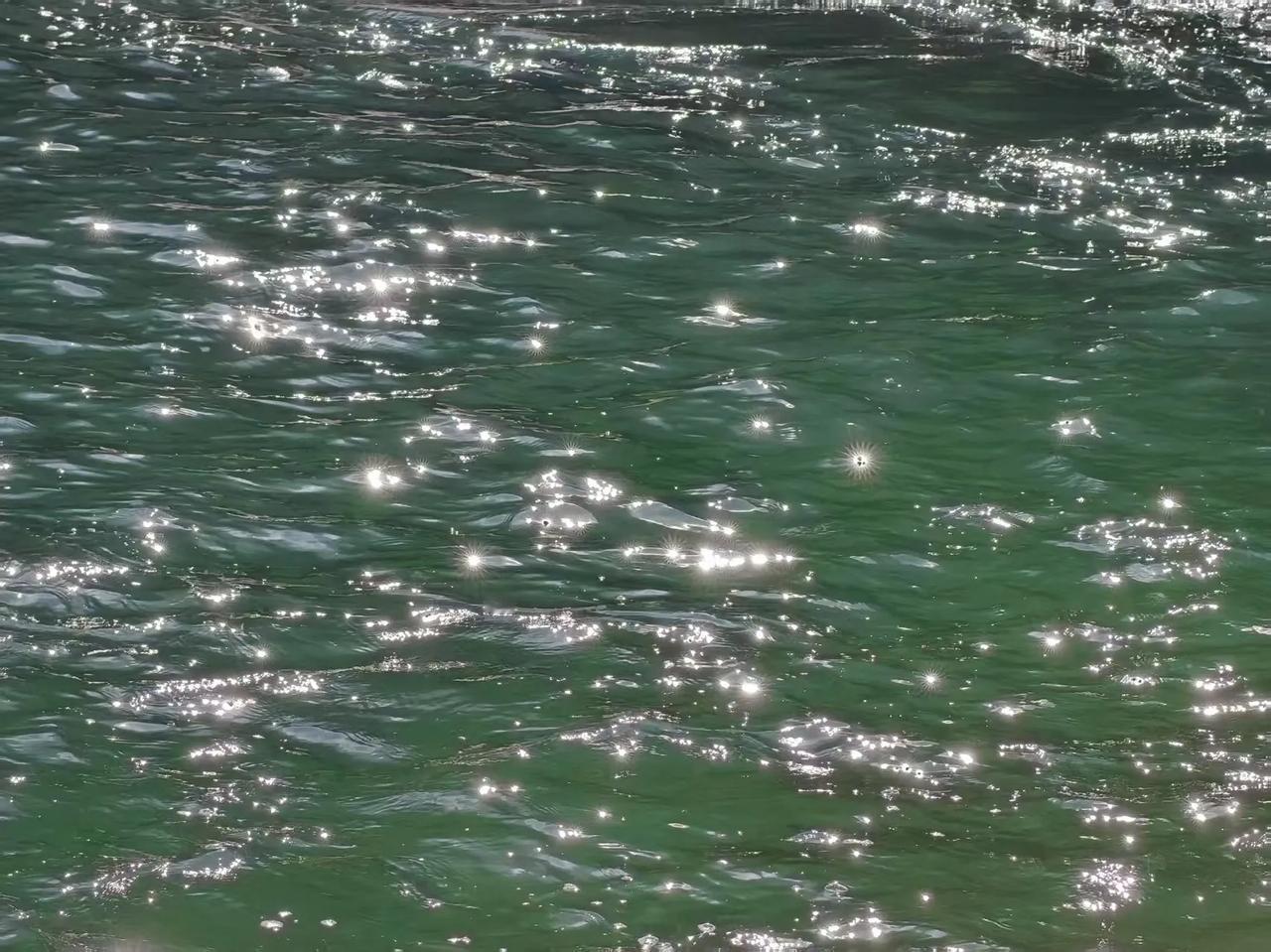 朋友的儿子娶了一个东北媳妇儿，儿子和媳妇儿如今一块定居到了沈阳。朋友说，儿媳妇