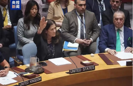 美国代表又举手反对了！14票赞成，1票反对，加沙人道主义草案又黄了。记不