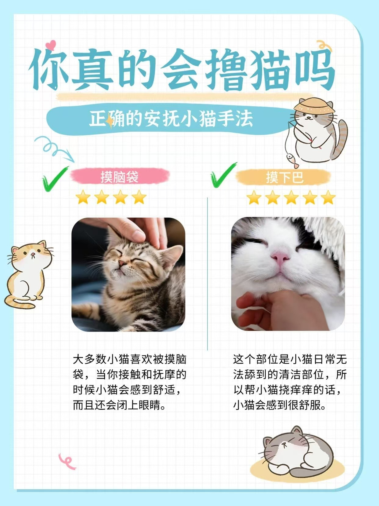 田曦薇王安宇都无法抵挡猫咪的可爱忙忙碌碌寻宝藏田曦薇自带小猫氛围感，王安宇犬系