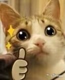 可灵3.0全量开放降低动画创作门槛可灵3.0这次全量开放真的太香了，以前做动画