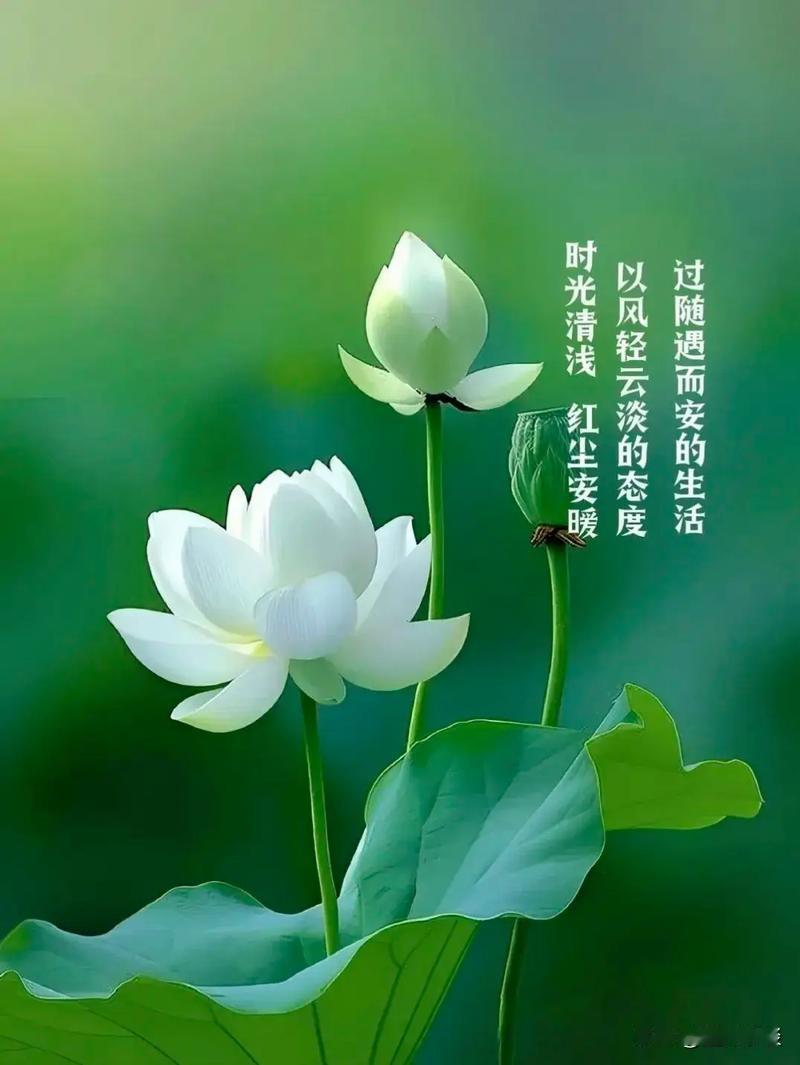 不花一分钱，12个生活小窍门请收好，会用的都是居家高手！1.切完辣椒手像
