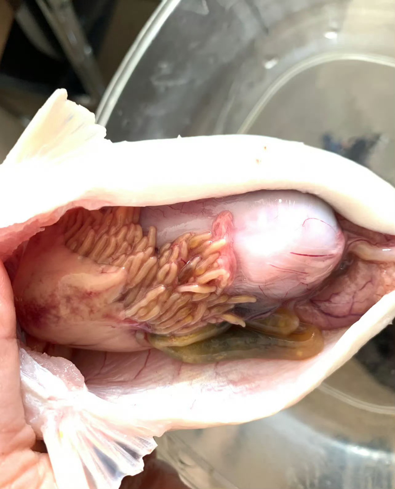 网友的冷知识面已经到这种程度了​​​