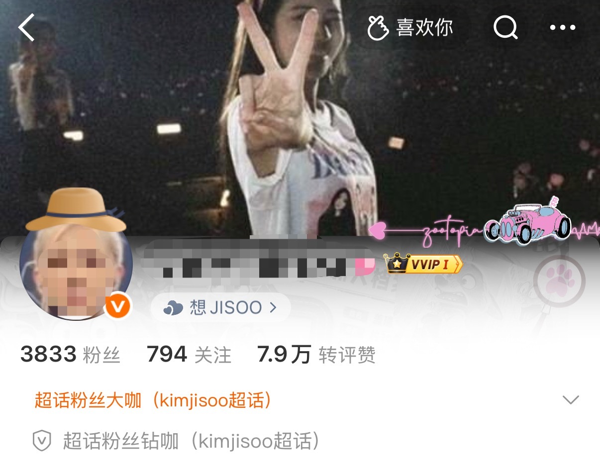 金智秀粉丝为什么要安利朴彩英？