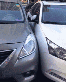 爆笑GIF: 妹子, 没事逗猪干嘛呢?