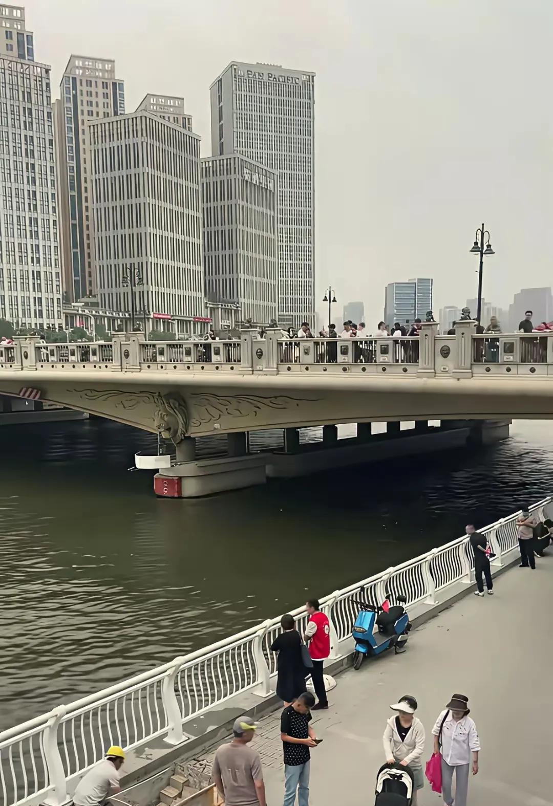 天津狮子林桥下海河边加装的栏杆设计的绝了，好看优雅还有个优美的曲线，腆着一个弯肚