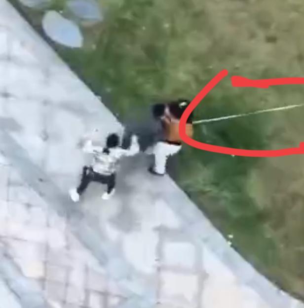 一小仙女因为遛狗绳过长，被路过夫妇指责，惨遭殴打，你们说这位小仙女该不该？事发1