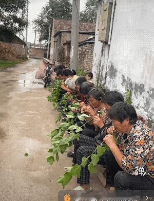 这样也好，省得东家长，李家短！[大笑]