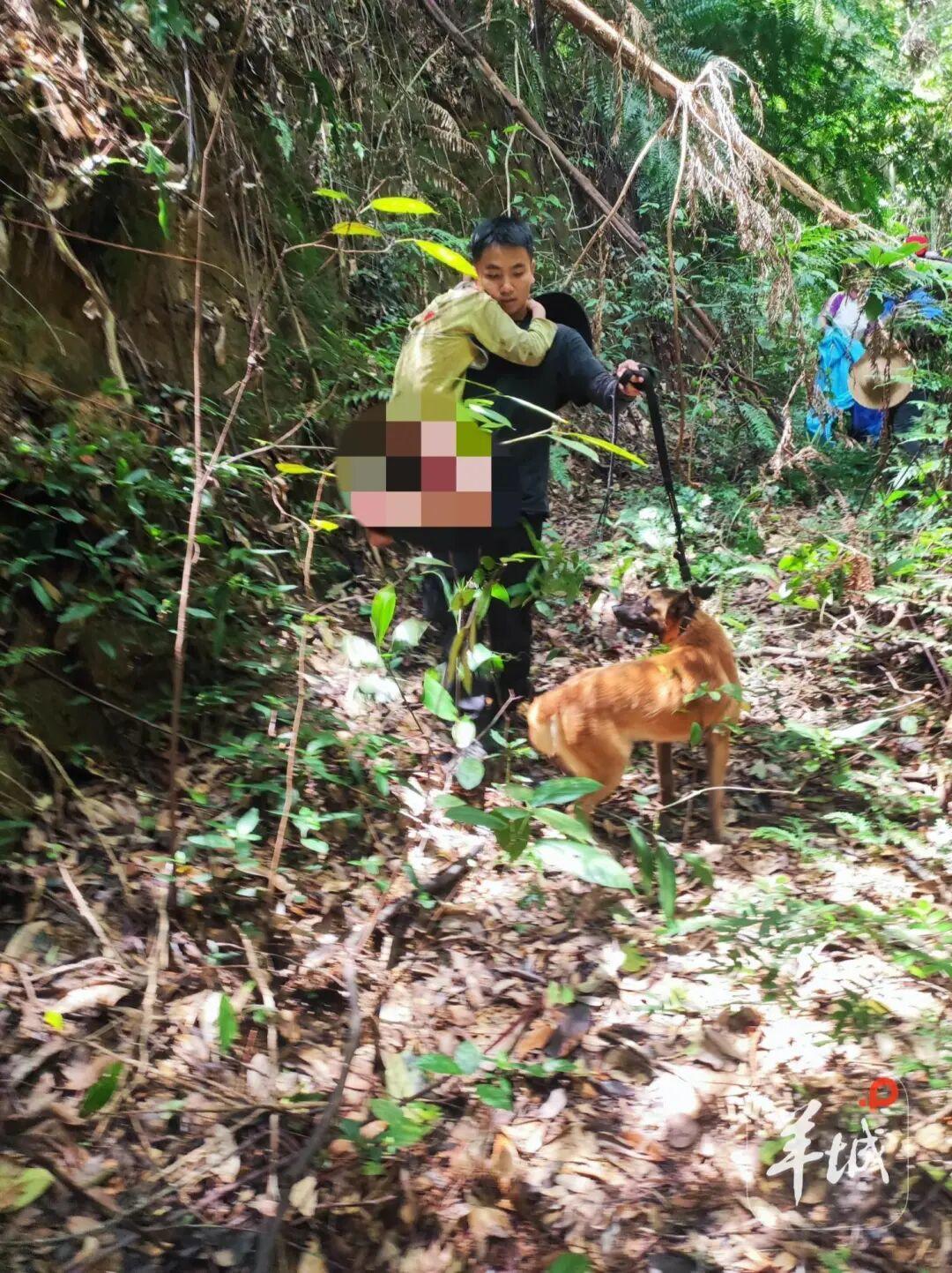 奇迹发生了！肇庆11岁男孩误入无人深山，失联13天，就在所有人都以为孩子已经遭遇