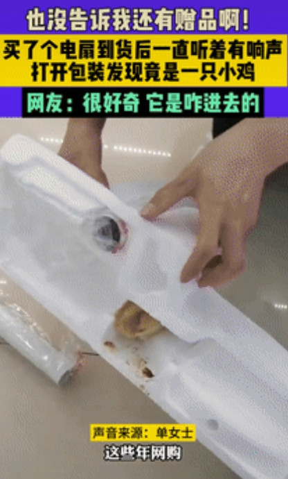 “意外的惊喜！”黑龙江一女子网购一台电风扇，到货后听到包装箱内有异响，谁料，将箱