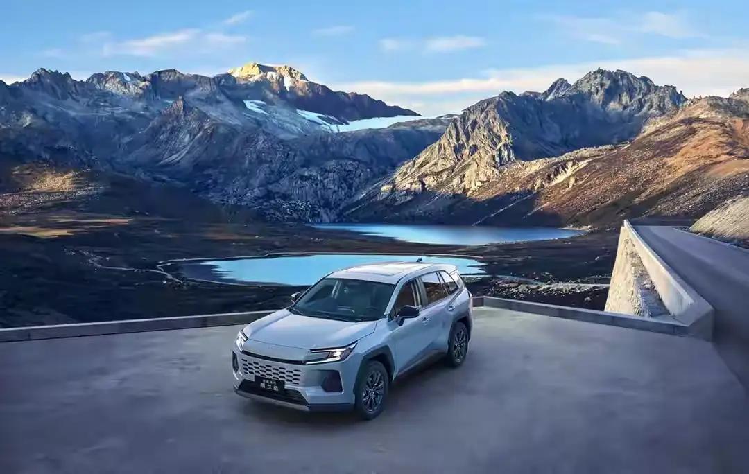 现在还开着燃油车的人，无非就这10类人：1、不差钱的。2、对新能源车不信任